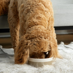 Waggo Dipper large top view emphasizes wide opening for easy feeding