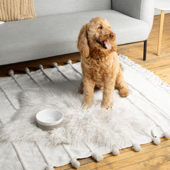 Waggo Dipper dishwasher-safe gloss finish close-up shows easy cleaning