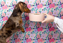 Waggo Ripple bowl small size 2-cup capacity suitable for small pets