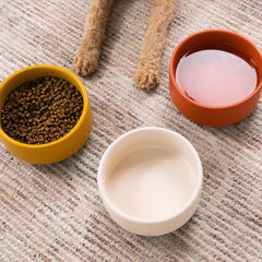 Waggo Uplift mustard bowl is microwave and dishwasher safe for convenience.