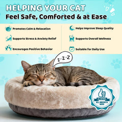 Wagmee Cat Calming Treats jar closeup highlights chew texture for stress relief moments.