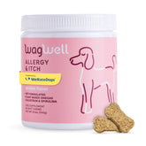 WagWell Allergy Chews jar front highlighting 60 soft chews for allergy relief