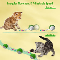 WAKHJAKT 5-in-1 replacement heads for varied play sessions.
