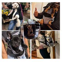 Wakytu dog front carrier anti-escape zipper demonstrates added security during outdoor adventures.