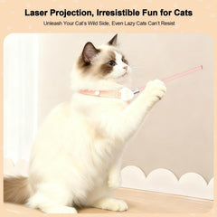 Walfront adjustable collar 9-1-13-4 image highlights secure fit for cats