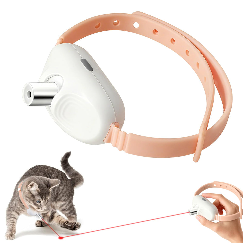 Walfront interactive laser collar on cat for hands-free play and chase