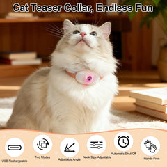 Walfront laser cat toy two-mode setup showing steady beam and flicker for engagement