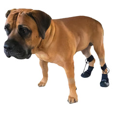 Walkabout Toe'sUP boot brace closeup showing protective paw lift