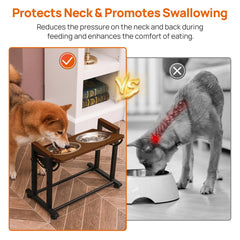 Walnest adjustable-height stand with removable bowls for easy cleaning and maintenance.