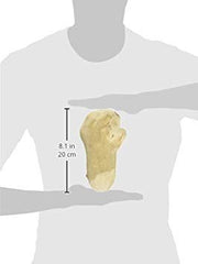 Ware Manufacturing Gorilla Chew Natural Medium textured surface for engaging chew sessions.