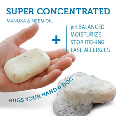 WashBar pH-balanced formula suitable for all coat lengths.