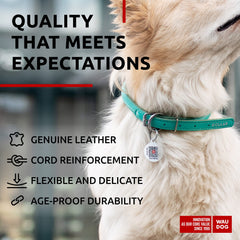 WAUDOG Ultra Soft Rolled Leather Collar in bright designs for family style variety