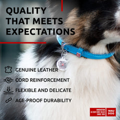 WAUDOG collar with D-ring for easy daily leash attachment