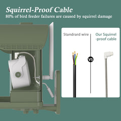 WAVEEME bird feeder camera with squirrel-proof cable protects feeding from rodents.
