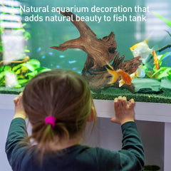 WDEFUN driftwood reptile-tank climbing-structure supports bearded dragon and lizards.