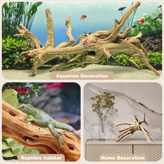 WDEFUN spiderwood aquarium idea image illustrates natural landscape and shelter.