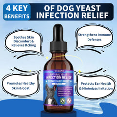 WEALLIN 8-herbal-blend drops — probiotic-powered support for skin and ears.