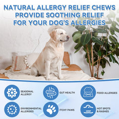 WEALLIN dog allergy chews include probiotics and colostrum for gut balance.