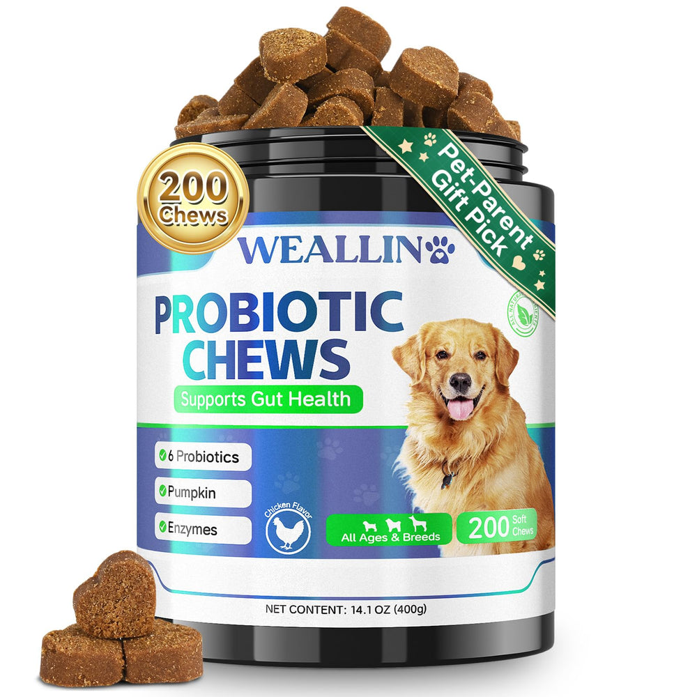 WEALLIN dog probiotic chews bottle promotes gut health and immune support.