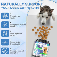 WEALLIN dog probiotic chews chicken flavor closeup shows tasty, digestive-supporting treat.