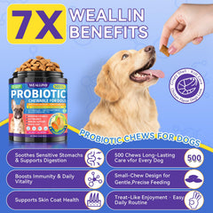 WEALLIN probiotic chews with crunchy shell and chicken flavor aid picky-eater meals.