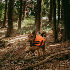 WeatherBeeta Reflective Parka harness hole for easy leash attachment