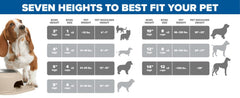 WeatherTech elevated pet feeding system on floor in modern home.