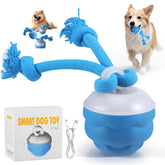 Webahow The Chase Buddy interactive ball rolling for engaging indoor play