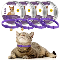 Weewooday cat calming collar close-up showing adjustable strap