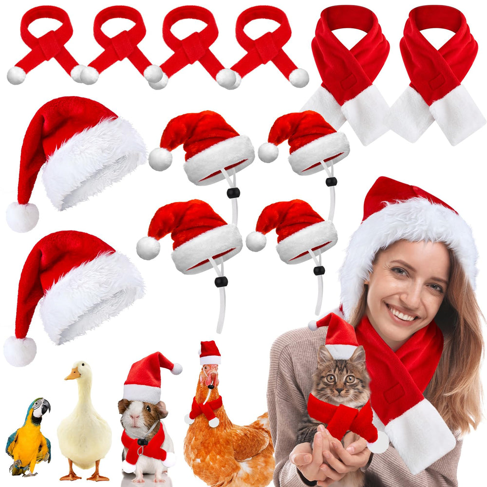 Weewooday mini Santa hat set for pets on festive display, ideal for photoshoots.