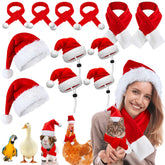 Weewooday mini Santa hat set for pets on festive display, ideal for photoshoots.