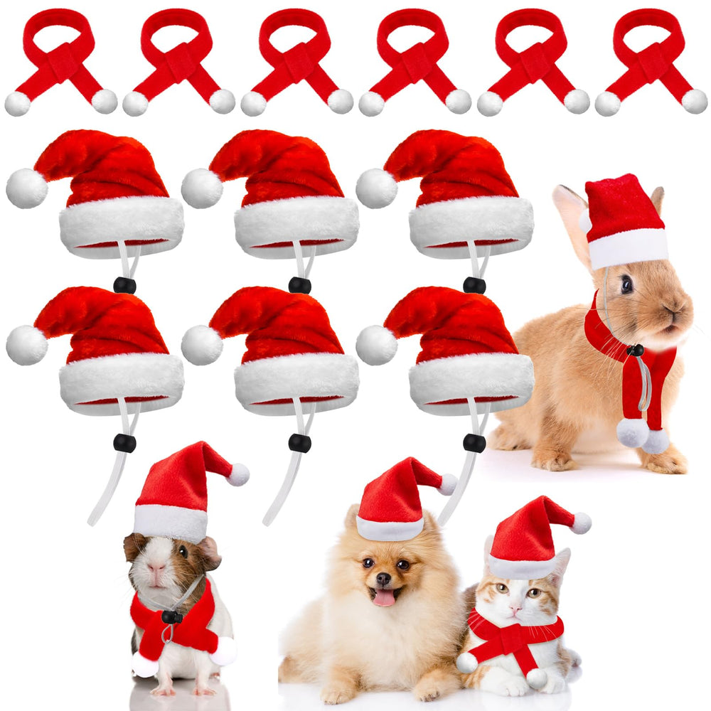 Weewooday pet Santa hat set on a small animal for festive photo moments and cute holiday cheer.