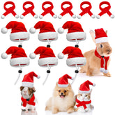 Weewooday pet Santa hat set on a small animal for festive photo moments and cute holiday cheer.