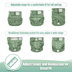 Wegreeco dog diapers with wickquick core absorbency for rapid moisture capture.