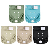 Wegreeco female dog diapers blue-green on dog for comfortable heat management and leak protection.