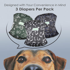 wegreeco belly band back view highlights discreet leak-free outer layer for rooms and furniture