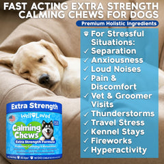Well Loved Calming Chews bacon flavor appeals to dogs during calming routines