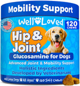 Well Loved dog glucosamine chews tub closeup showing chewable joint support.