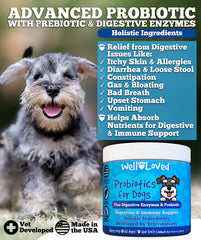 Well Loved Probiotics dog chews close-up showing tasty texture for gut health support