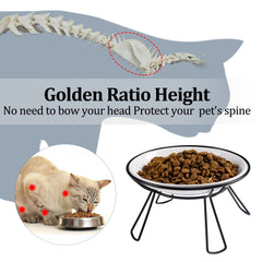 Wellbro ceramic water bowl on elevated stand keeps water accessible and spill-free