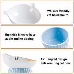 Wellbro elevated pet feeder pink supports comfortable meal posture and reduced bending.
