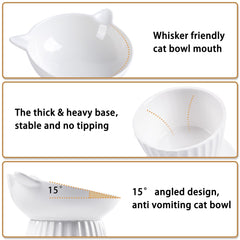 Wellbro ceramic raised bowl tilted design aids centered eating