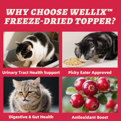 Wellix chicken-flavor topper savory crunch for indoor cats
