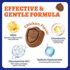 Wellix hip joint chews label highlights glucosamine and MSM ingredients