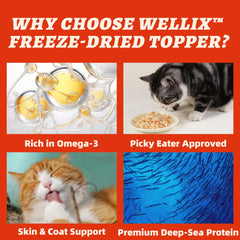 Wellix skin and coat focus image emphasizes omega-3 support for healthier fur.