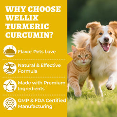 Wellix turmeric powder being sprinkled into pet meals shows quick mixing convenience.