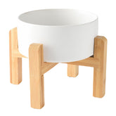 Welloyed ceramic raised dog bowl with 30oz capacity for easier feeding.
