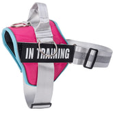 WENDISI 3-ring no-pull harness with night visibility improves safety during evening walks.
