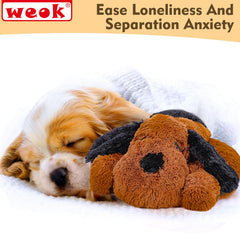 WEOK heartbeat-module-closeup shows the soothing rhythm for anxiety relief