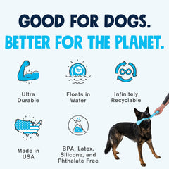 West Paw Zogoflex Echo Zwig large-dog play encourages active fetch and tug